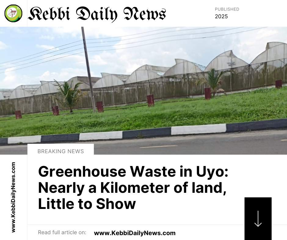 Nearly a Kilometer of Greenhouses, Little to Show: the story of Uyo