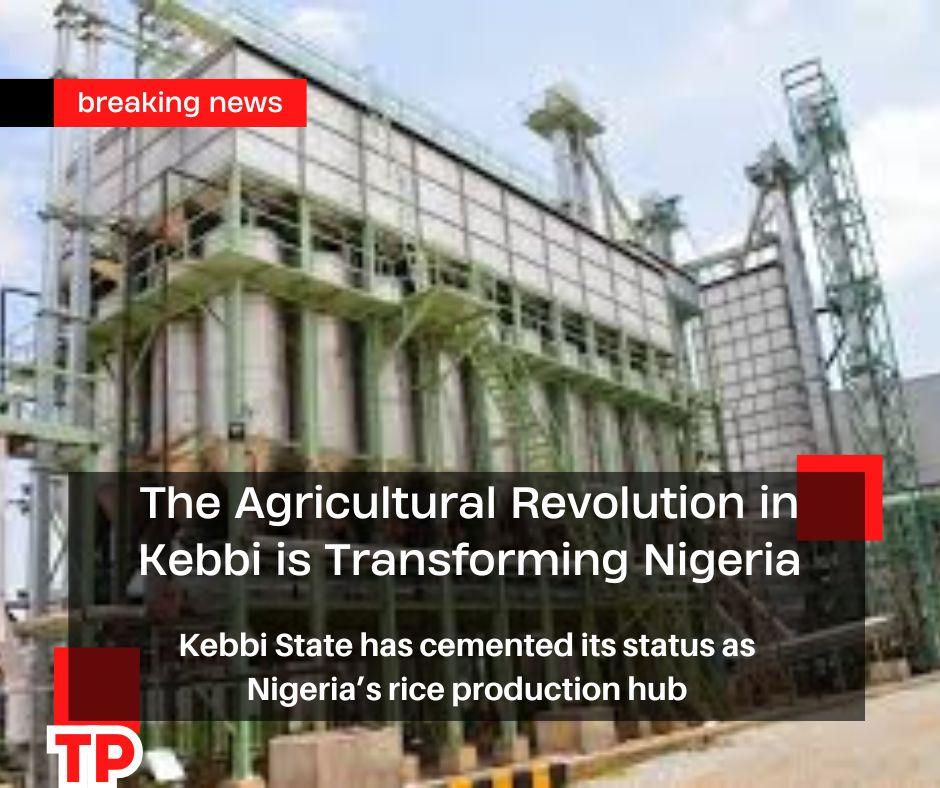 The Agricultural Revolution in Kebbi is Transforming Nigeria